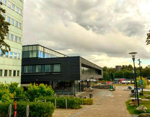 斯德哥尔摩大学